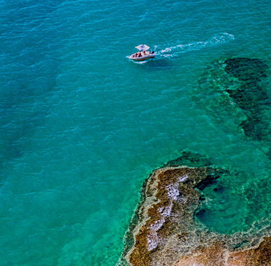 Co-Pesca II: cogestão dos Perceves das Berlengas