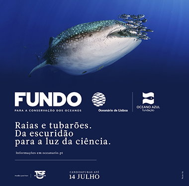 Fundo para a Conservação dos Oceanos